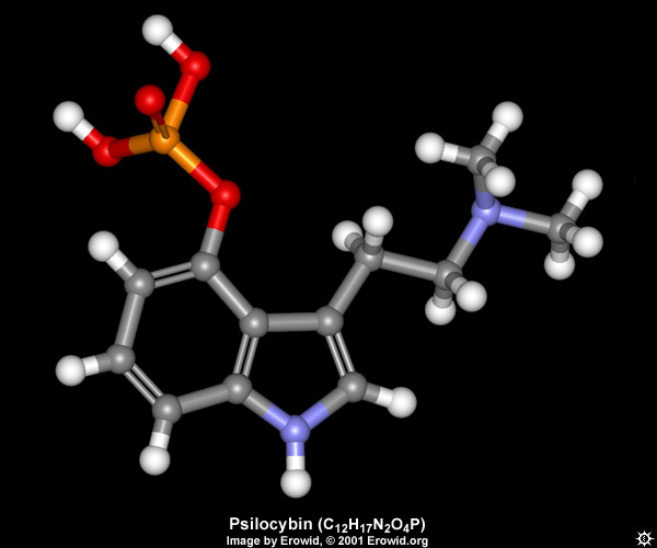 psilocybin_3d.jpg