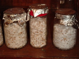 micelio e pipoca03 007.jpg