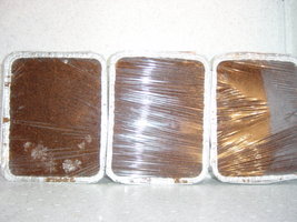 micelio e pipoca03 011.jpg