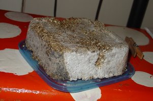 contaminação.jpg