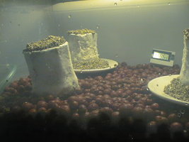 05040030.jpg 05040030.jpg