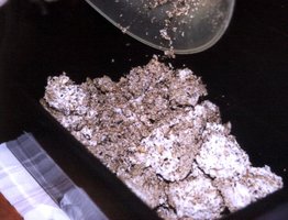 novo-11.jpg