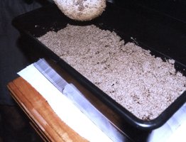 novo-17.jpg