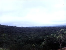 novo-71.JPG