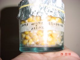 DSC00242.JPG