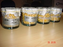 DSC00247.JPG