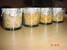 DSC00248.JPG