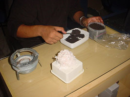 DSC00004.JPG