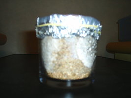 Bolo 2 - 20 06 - 1.2.JPG