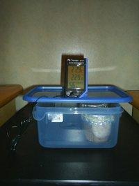 Berço 2.JPG