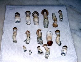 novo-89.jpg