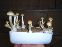 27 - 07 - 3.JPG