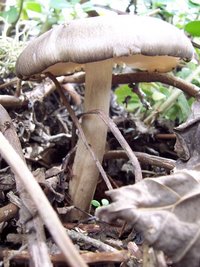 100_0319.jpg