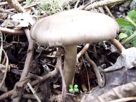100_0318.jpg