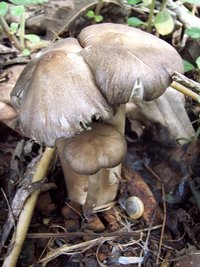 100_0321.jpg