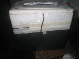 milho 070.jpg