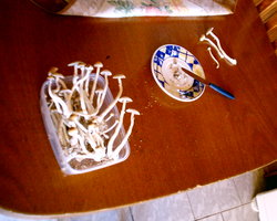S1010035.JPG