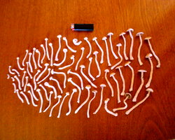 S1010040.JPG