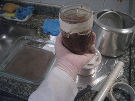 cremogema 009.jpg