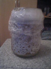 cremogema 018.jpg