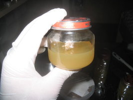 cremogema 006.jpg