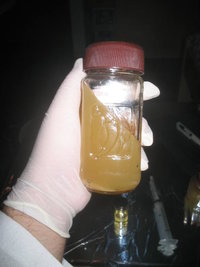 cremogema 008.jpg