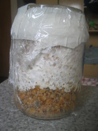 cremogema 009.jpg