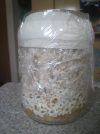 cremogema 010.jpg
