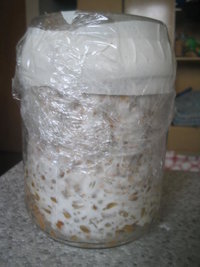 cremogema 011.jpg
