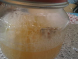 cremogema 018.jpg