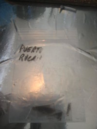 porto rico 001.jpg