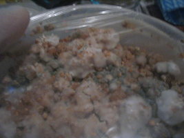 thricoderma 008.jpg