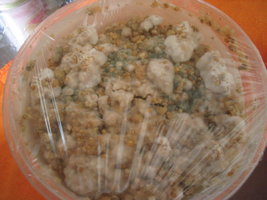trichoderma 001.jpg