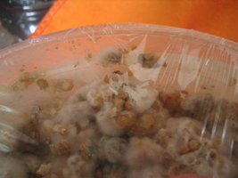 trichoderma 004.jpg