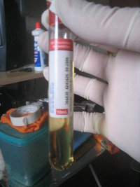 meio liquido 003.jpg