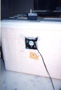 Digitalizar0006.jpg