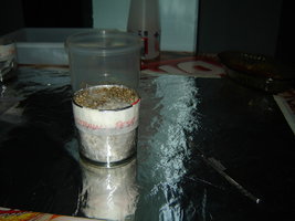 DSC00030.JPG
