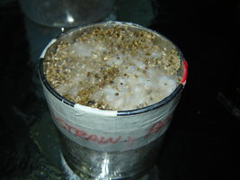 DSC00027.JPG