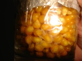 copo1a.jpg