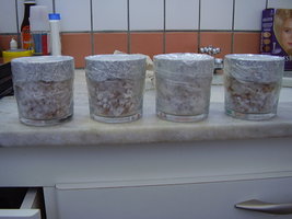 PB180331.JPG