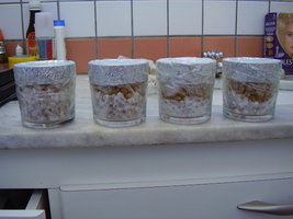 PB180332.JPG