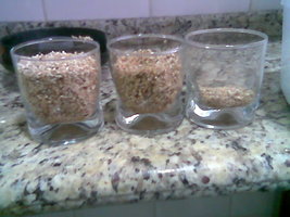 Imag004.jpg