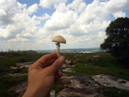 S30100052.jpg