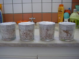 PB210328.JPG