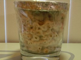PB010024.JPG