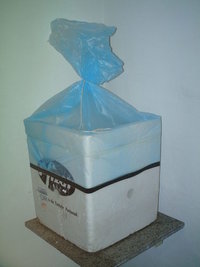 IMAG0006.JPG