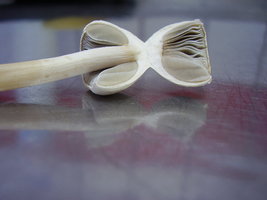 PB230340.JPG