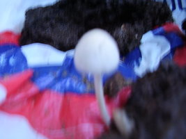 PB230344.JPG