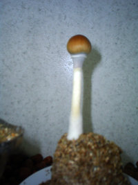 S3010004.JPG