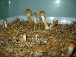 DSC00024.JPG